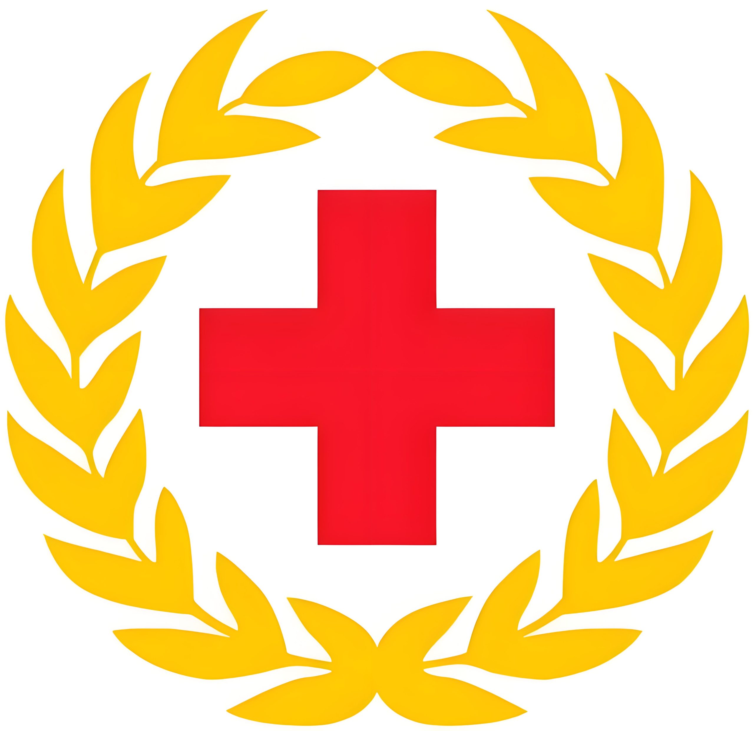 红十字救护员科普：普通人必学的现场急救知识